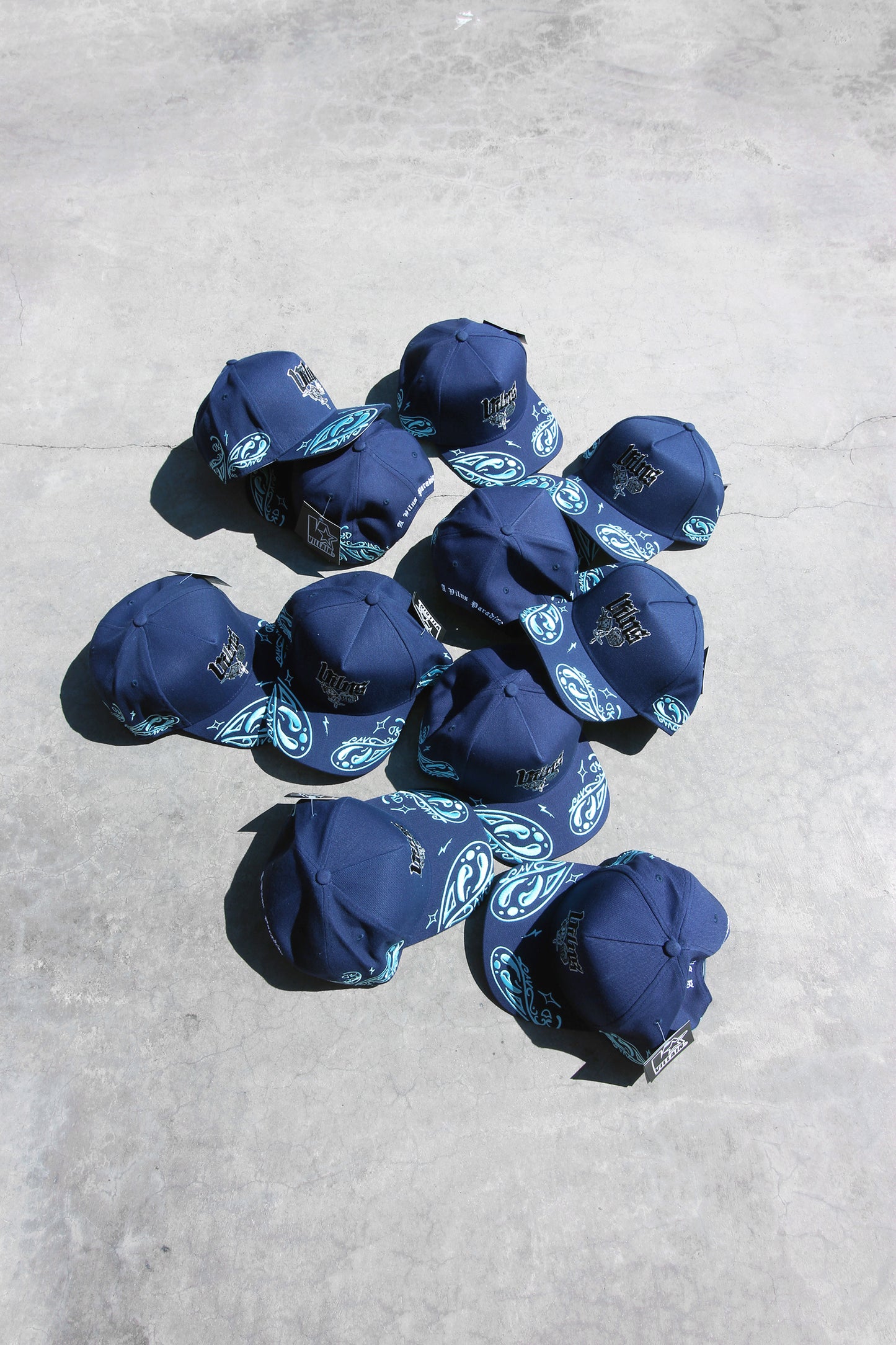 PAISLEY DREAM$ HAT / BLUES