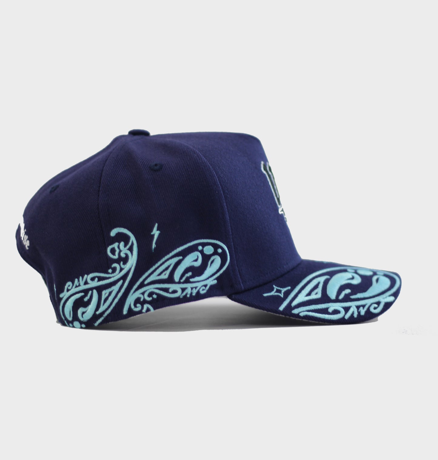 PAISLEY DREAM$ HAT / BLUES