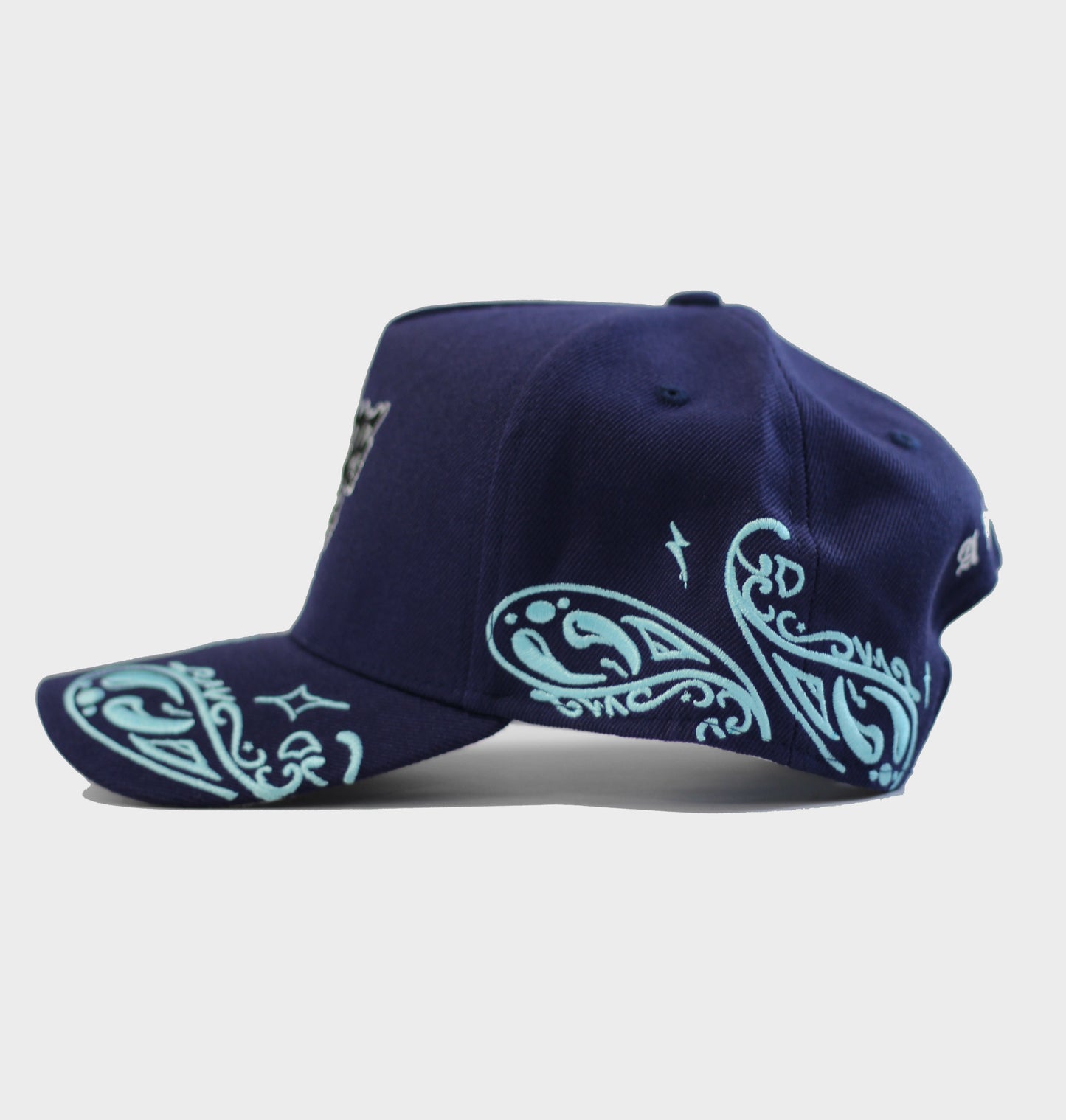 PAISLEY DREAM$ HAT / BLUES