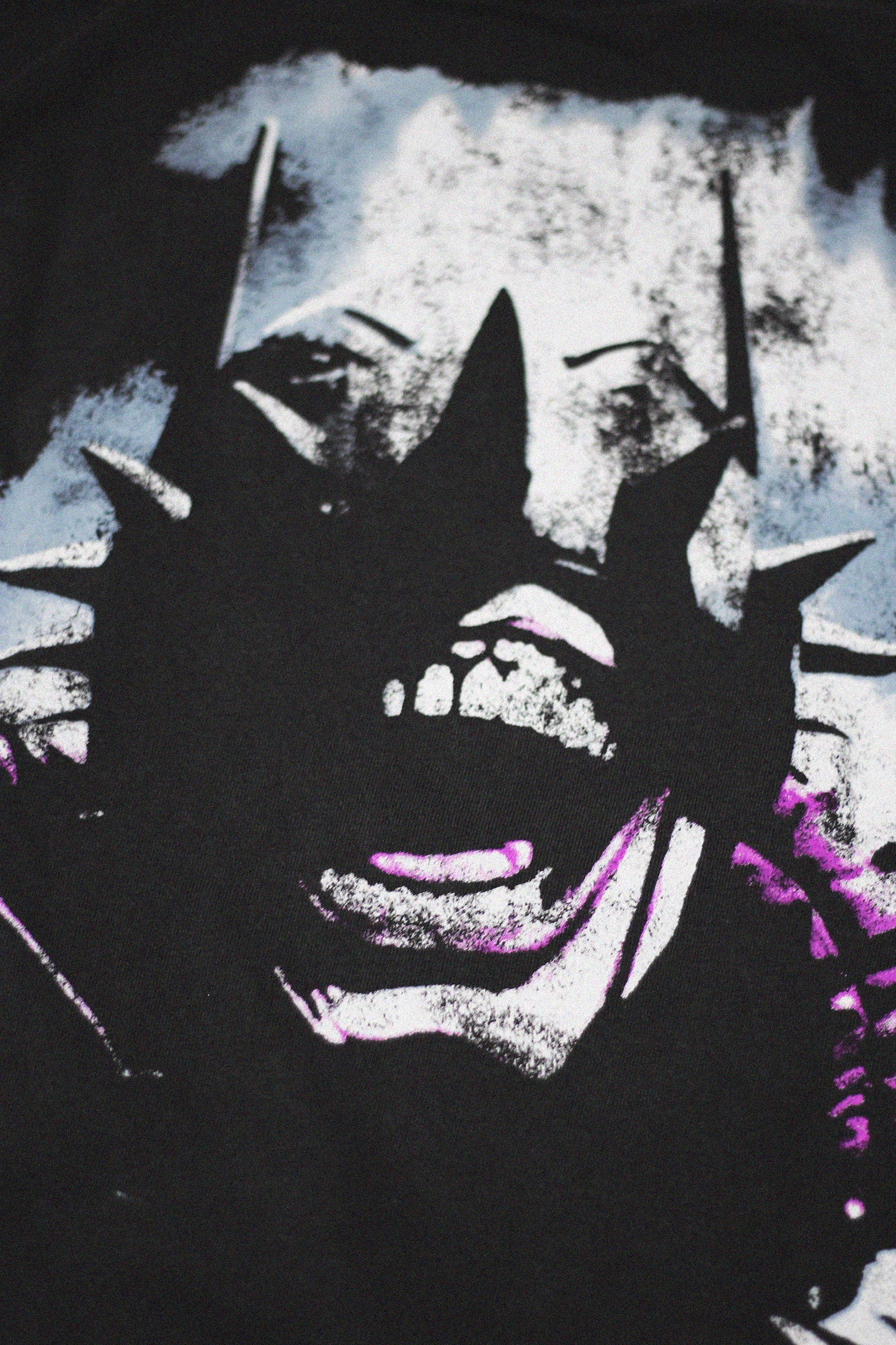 VILNS LAND - VINTAGE TEE