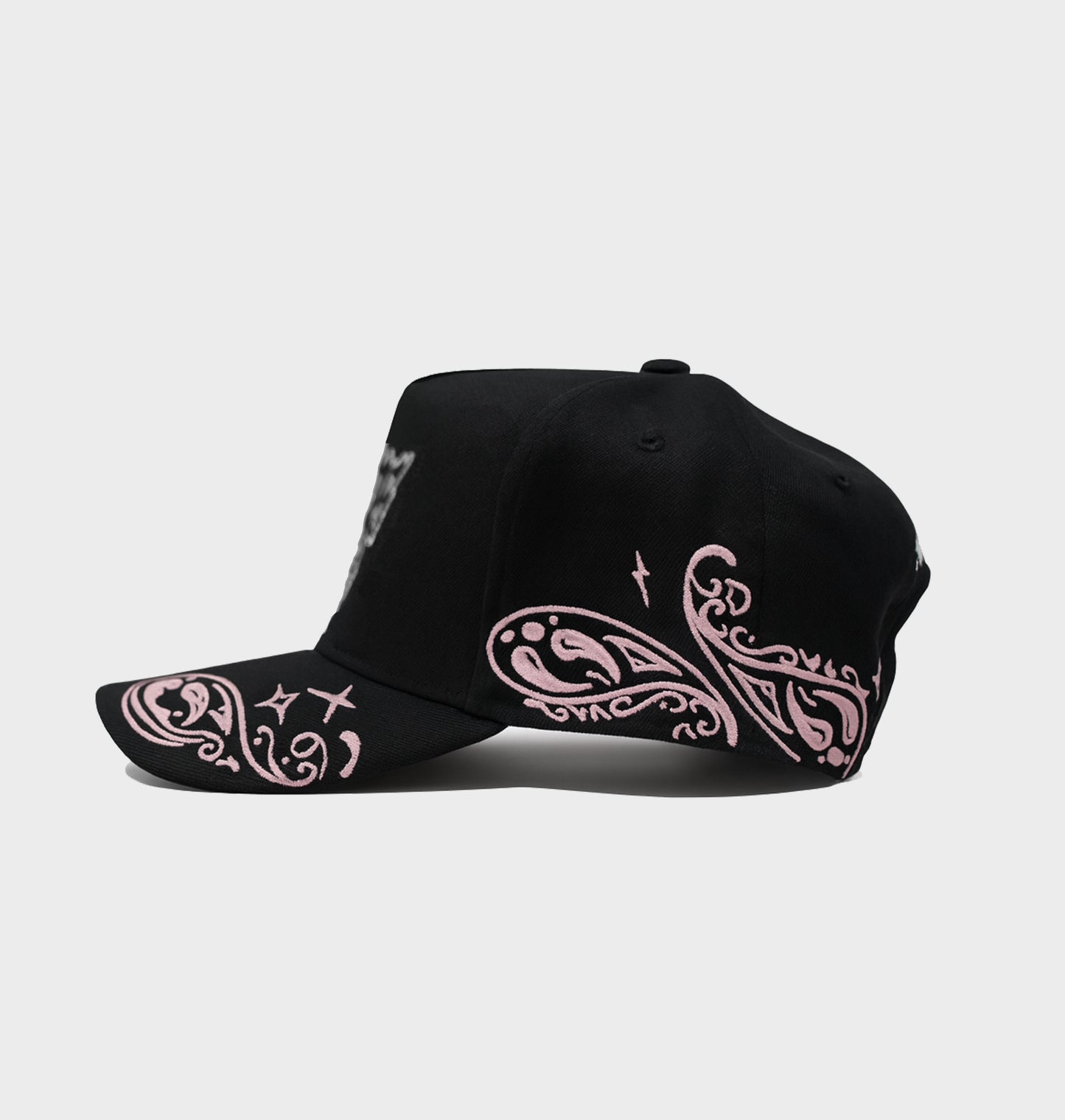 PAISLEY DREAM$ A-Frame (Pink Paisleys)