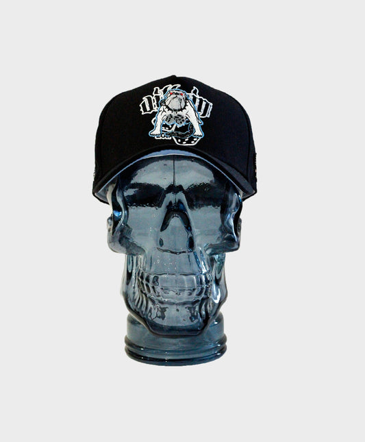 "ICE DOGS" HAT (BLACK)