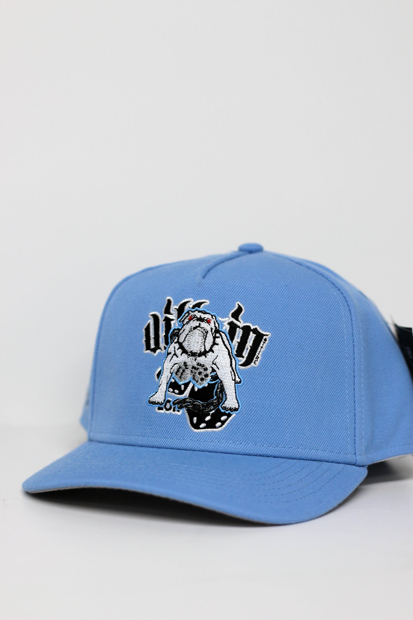 Ice Dogs A-Frame (babyblue)