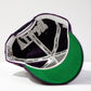 "V" Lightning Hat (Purple)