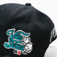 VILN 'V SERIES' Hat (Black)