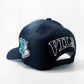 VILN 'V SERIES' Hat (Black)